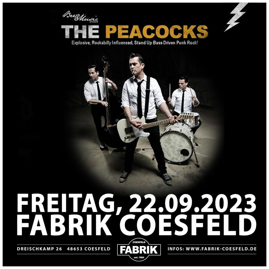 Konzert The Peacocks Line up