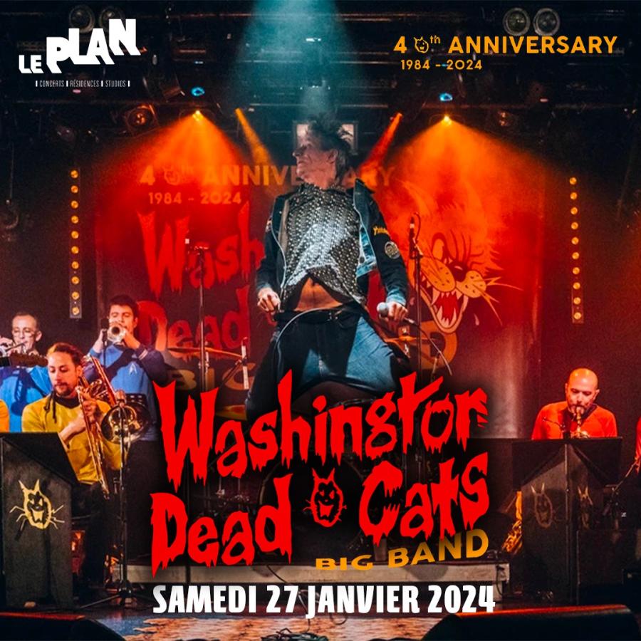Concert Washington Dead Cats 27/01/2024 RisOrangis Le Plan France