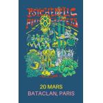 2026-03-20 - Psychedelic Porn Crumpets @ Paris